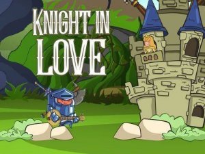 Knight in Love Puzzle Quest