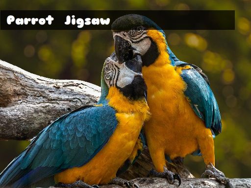 Colorful Parrot Puzzle Game