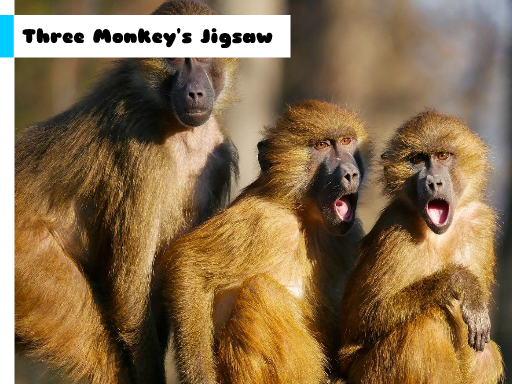 Monkey Friends Jigsaw Puzzle