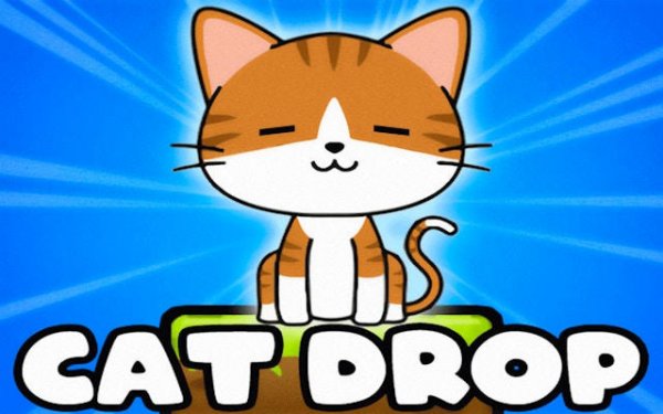 Kitten Tower Physics Puzzle