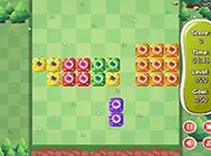 Grid Fill Puzzle Challenge