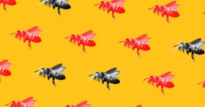 Researchers Deploy Robotic Bees to Study and Steer Hive Behavior